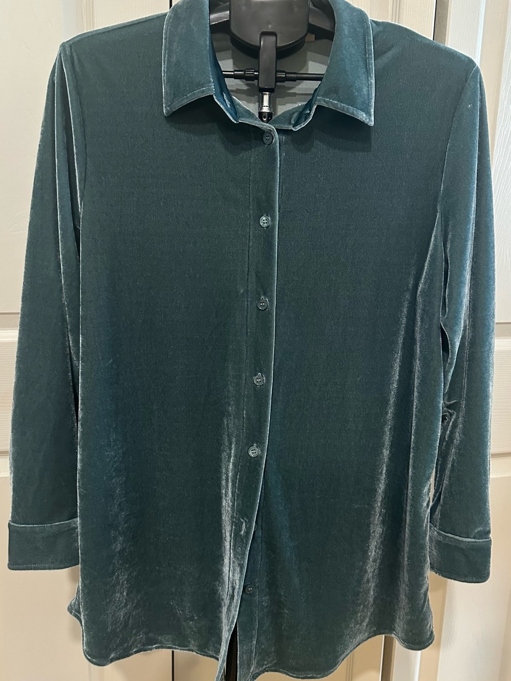 Soft Surroundings Women’s Velvet Button-Front Shirt in Soft Sage Green